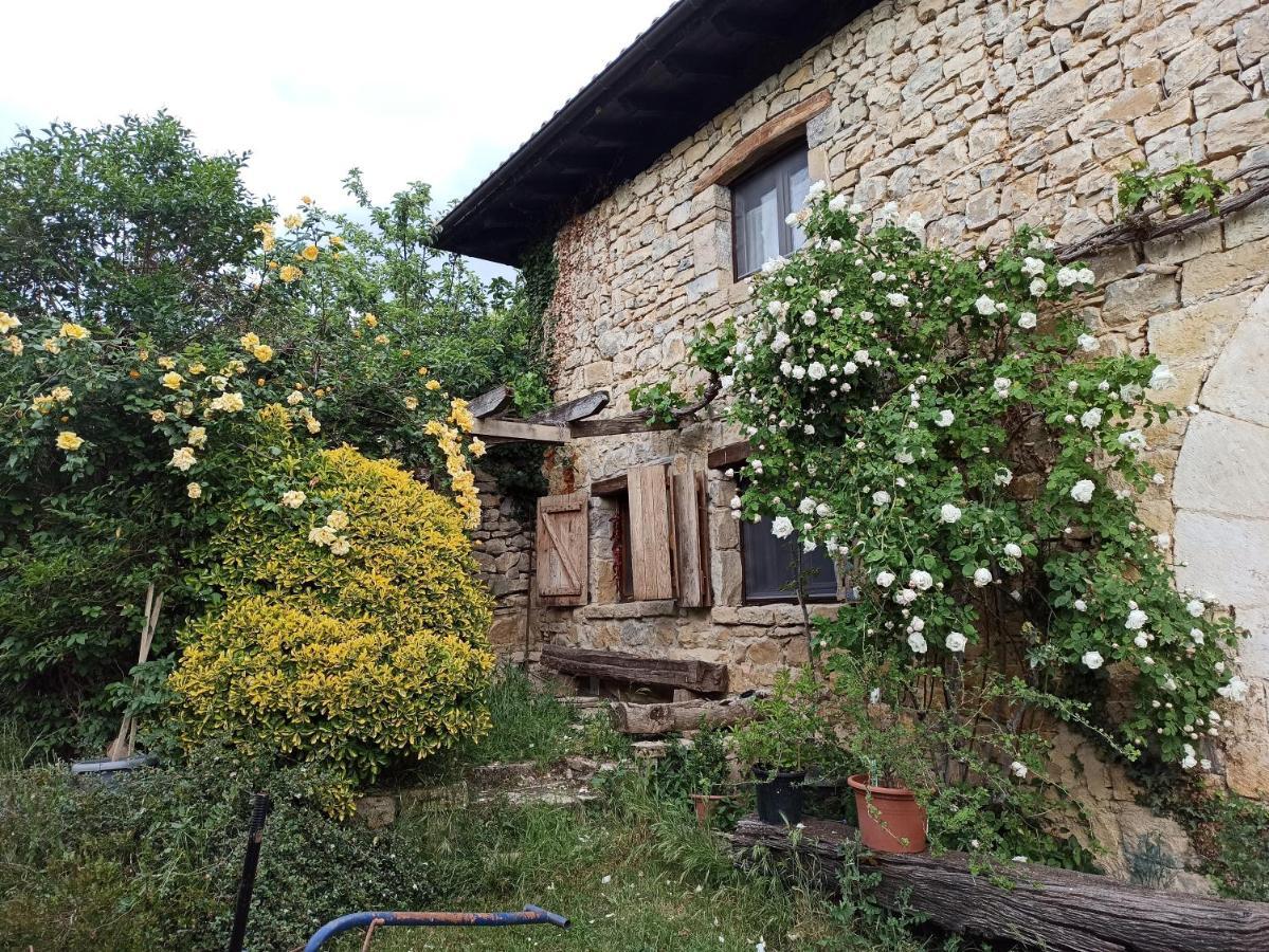 Casa Rural Ttipiaenea Landetxea Ariz  Exterior photo